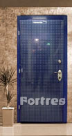 стальные двери FORTRES модель "257" (Израиль) отделка - абсолют